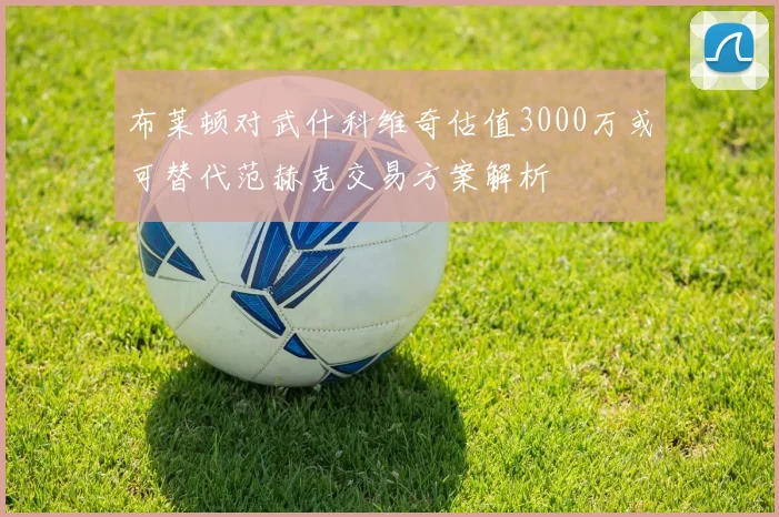 布莱顿对武什科维奇估值3000万或可替代范赫克交易方案解析